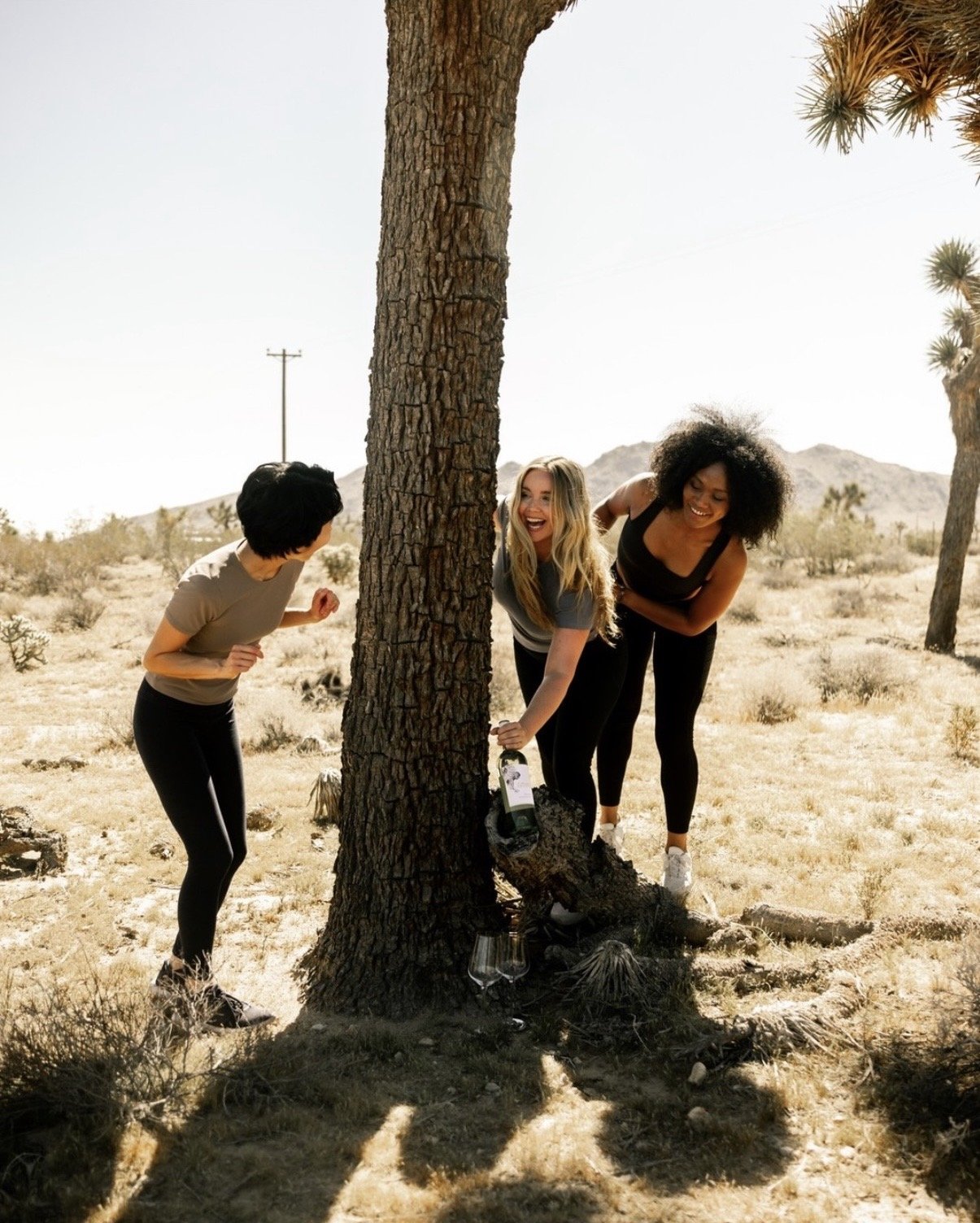 Jessica O'Connor on the Z. Alexander Brown wine campaign — three friends discovering a wine bottle by a Joshua tree